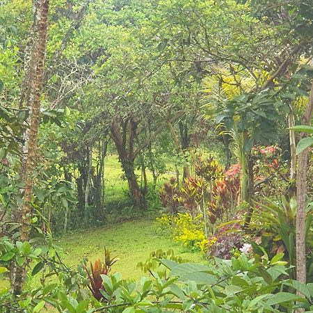 Eco Hotel Manu Viajeros San Agustín 외부 사진