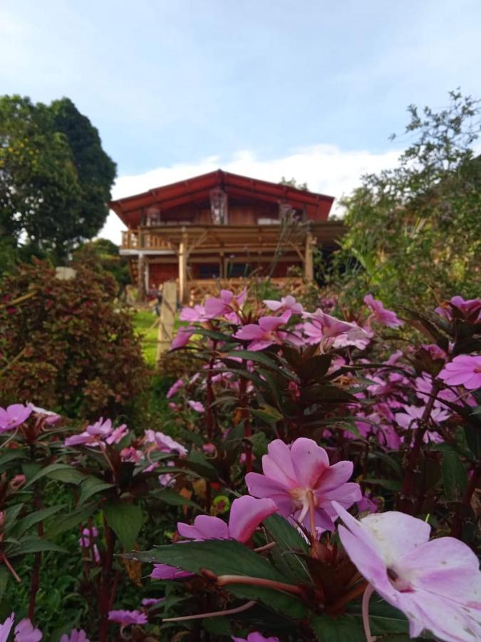 Eco Hotel Manu Viajeros San Agustín 외부 사진