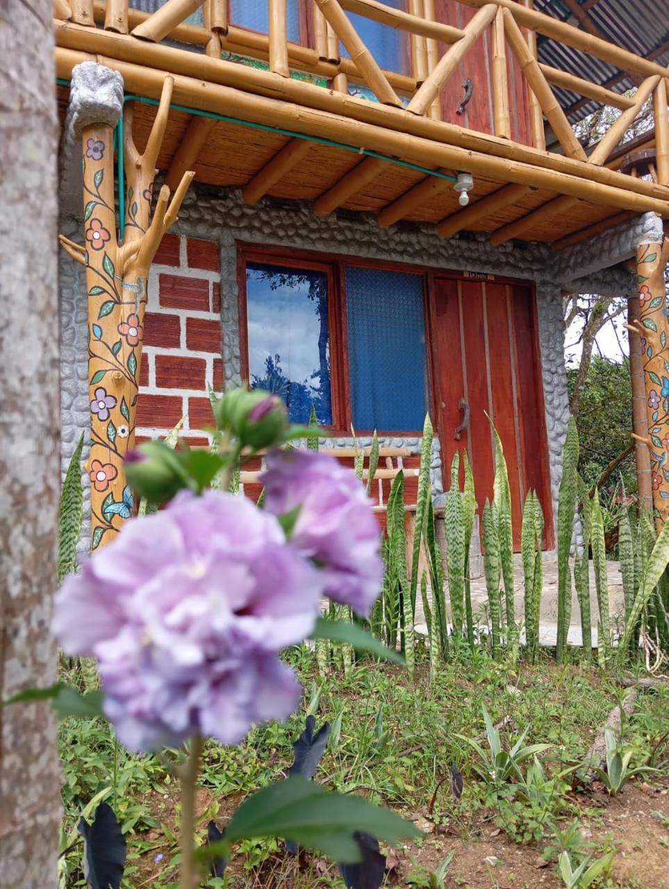 Eco Hotel Manu Viajeros San Agustín 외부 사진