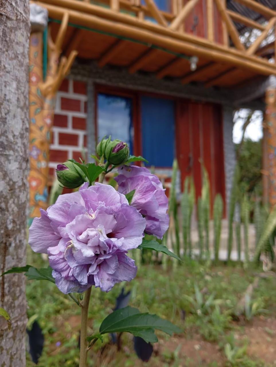 Eco Hotel Manu Viajeros San Agustín 외부 사진