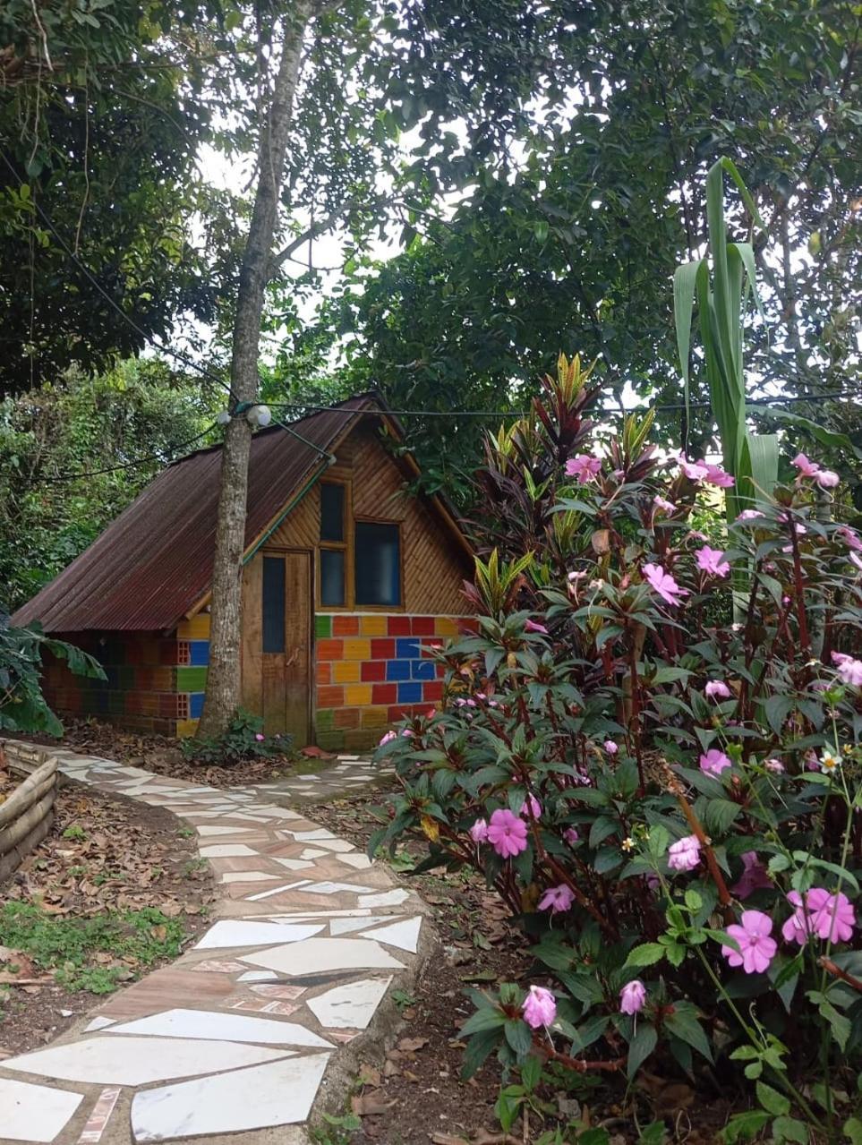 Eco Hotel Manu Viajeros San Agustín 외부 사진
