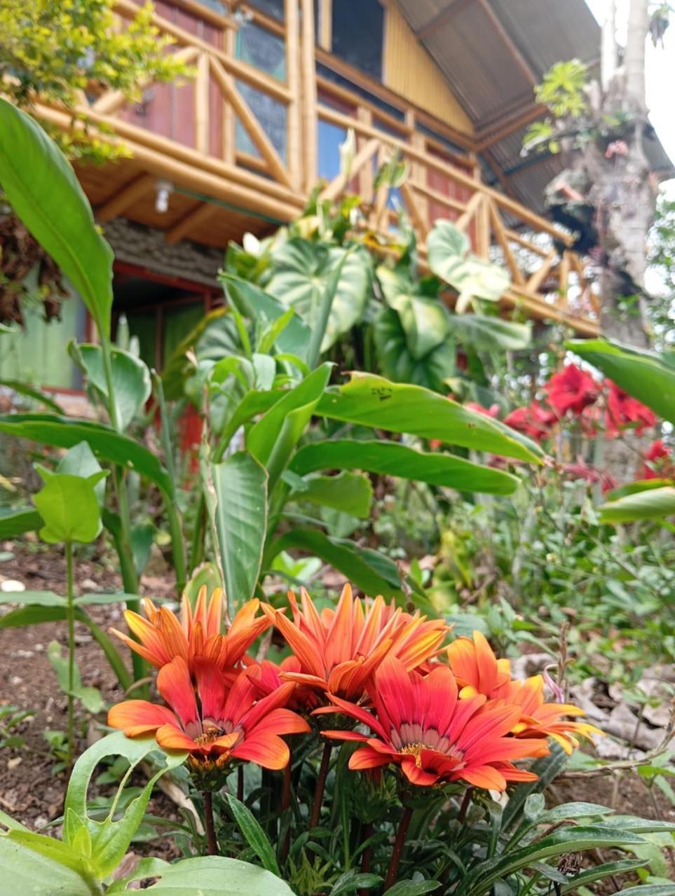 Eco Hotel Manu Viajeros San Agustín 외부 사진