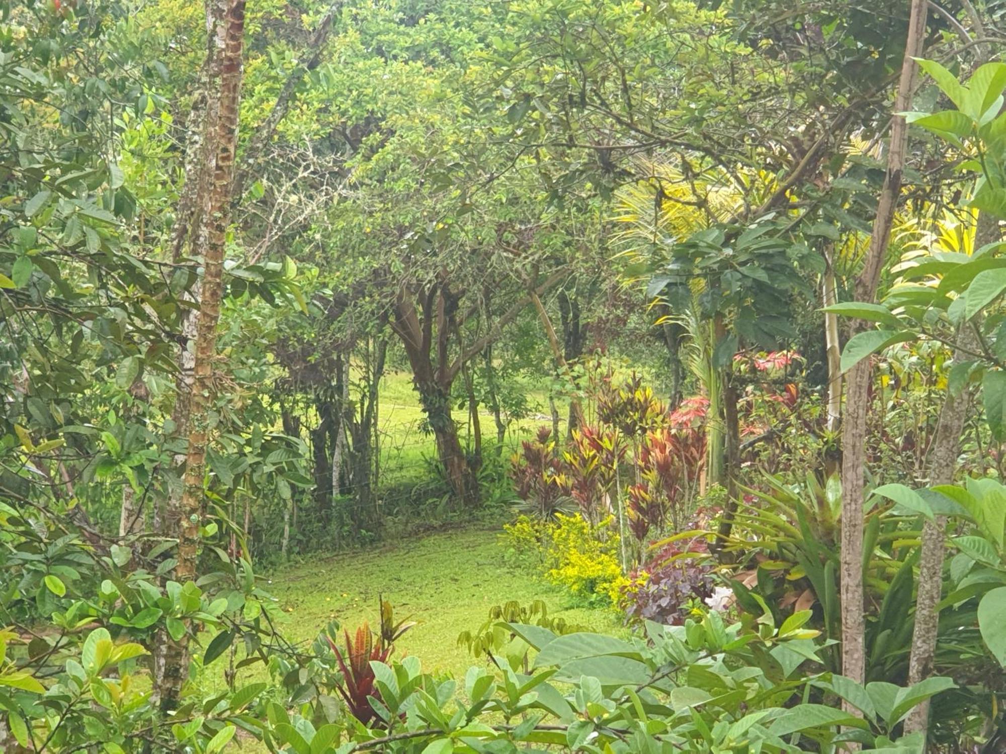 Eco Hotel Manu Viajeros San Agustín 외부 사진